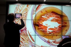 Research-Magic-Lenses-Biology