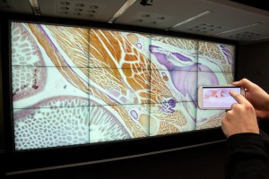 Research-Remote-Control-Biology
